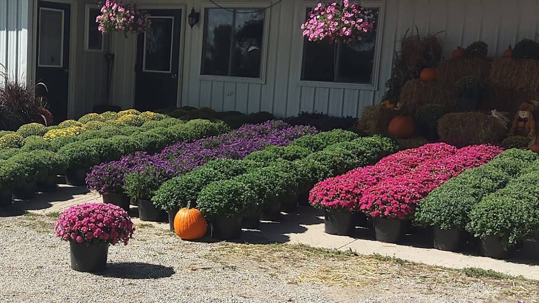 Rose Lane Flowers Locally Grown Flowers and Gifts in Rosebush MI